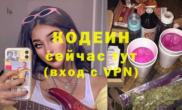 крисы Абаза