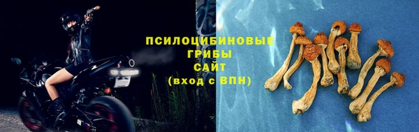 марки lsd Алзамай