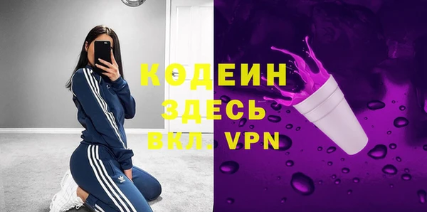 крисы Абаза
