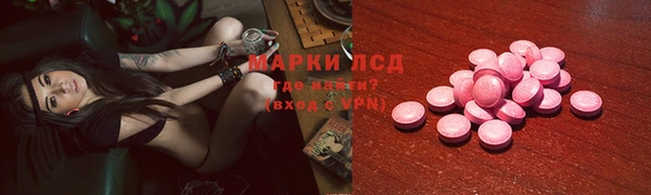 крисы Абаза