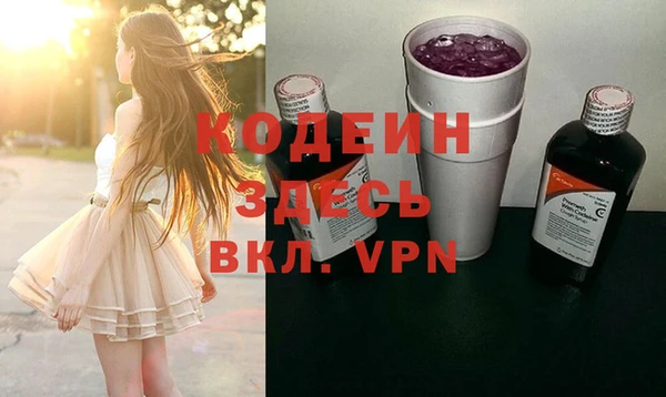 крисы Абаза